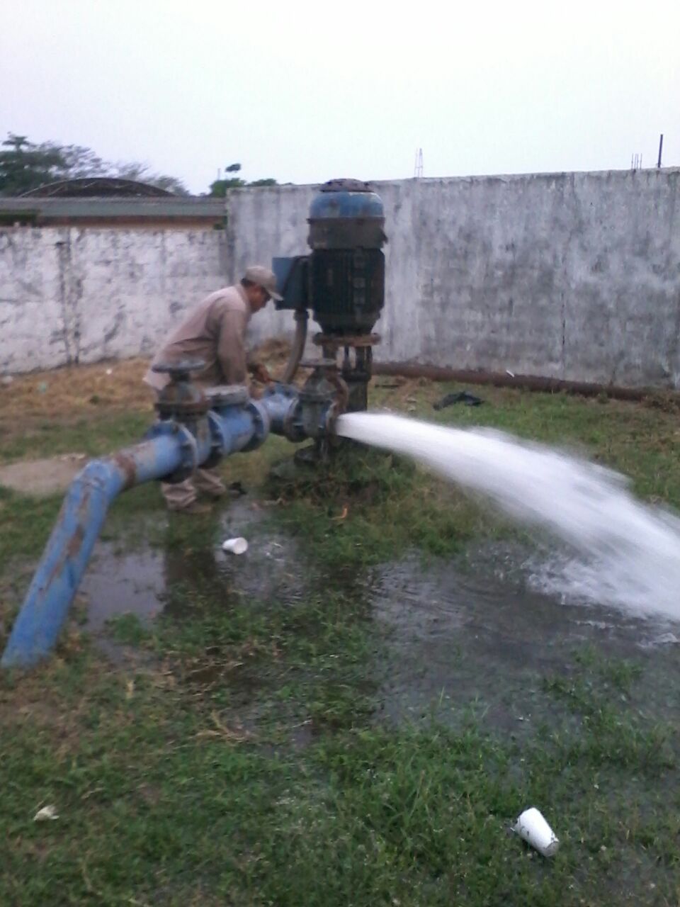 imagen del encabezado