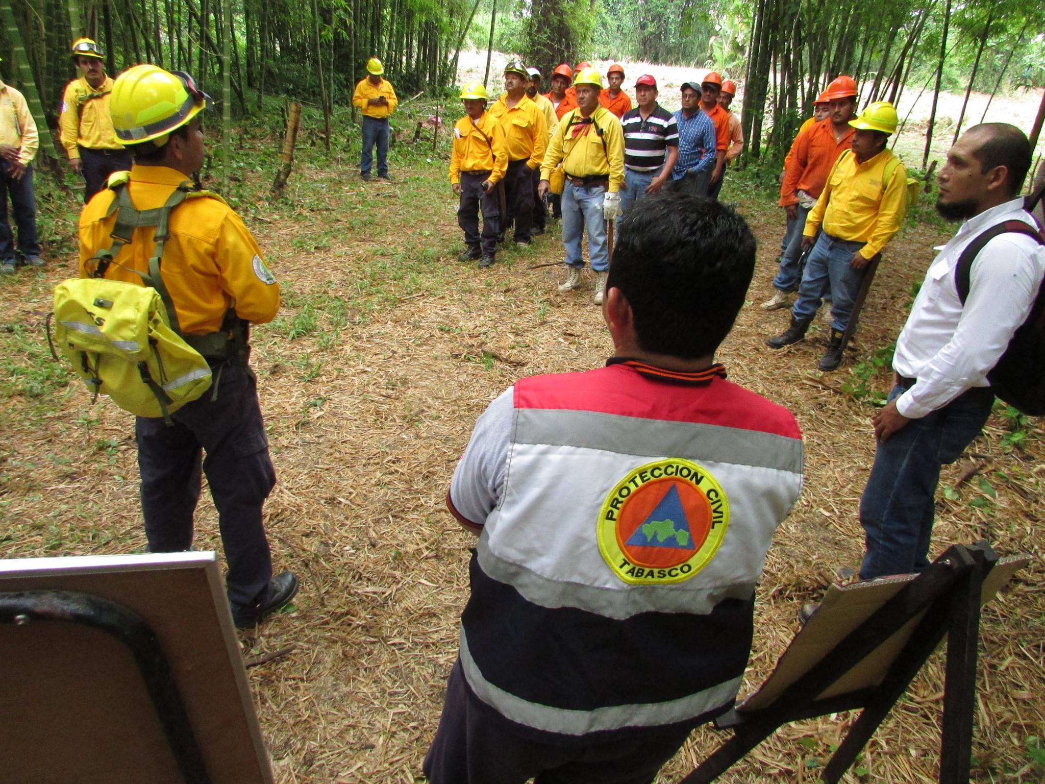 imagen del encabezado