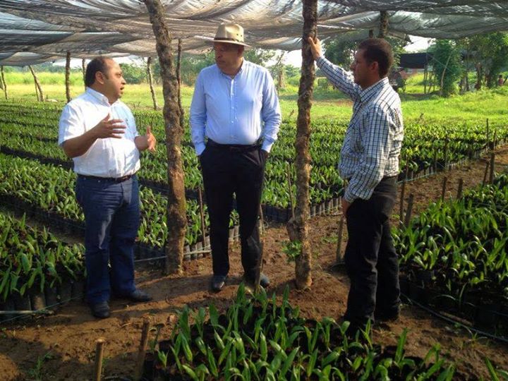 imagen del encabezado