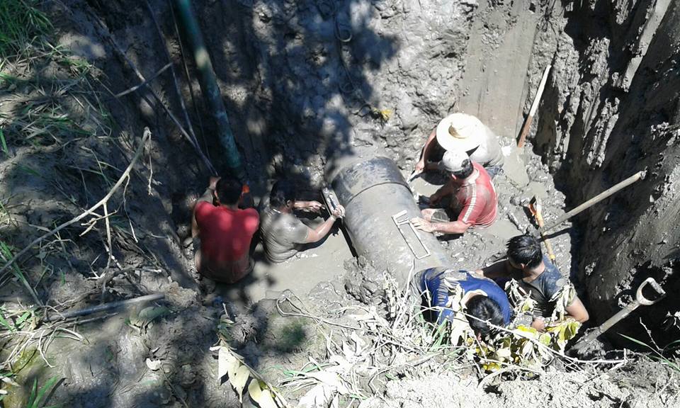 imagen del encabezado