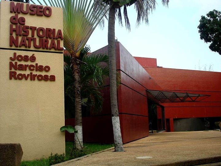 imagen del encabezado