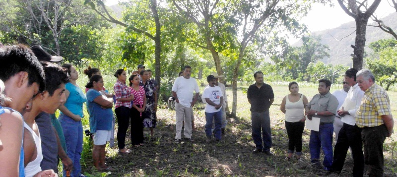 imagen del encabezado