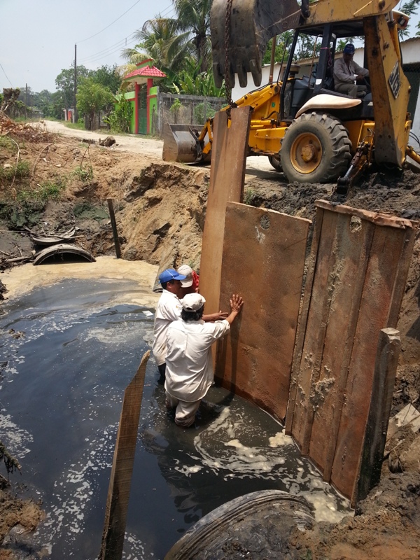 imagen del encabezado