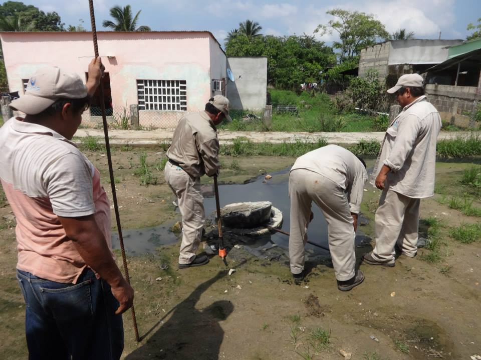imagen del encabezado