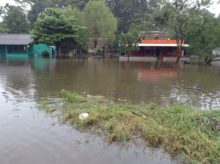 imagen del encabezado