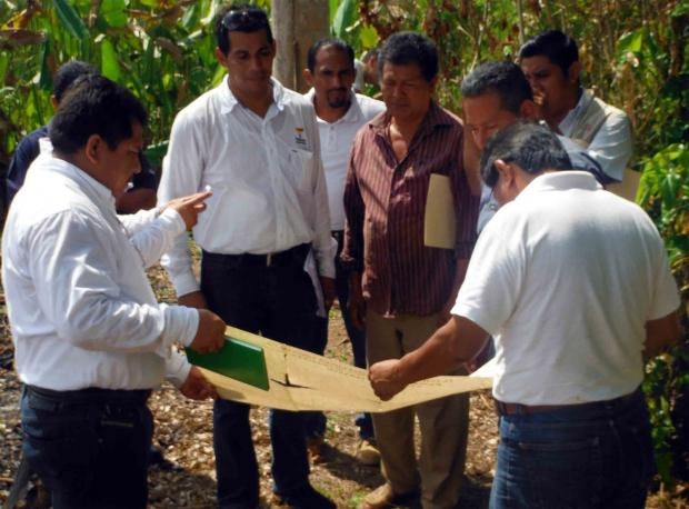 imagen del encabezado