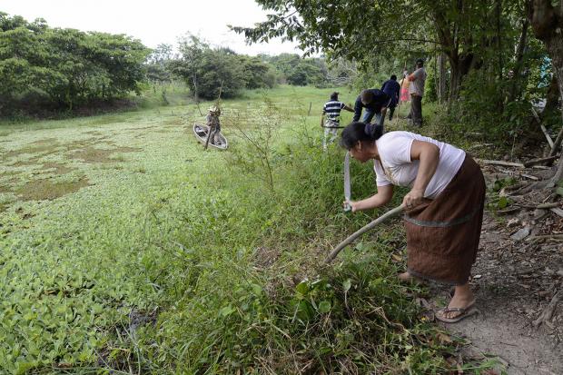 imagen del encabezado