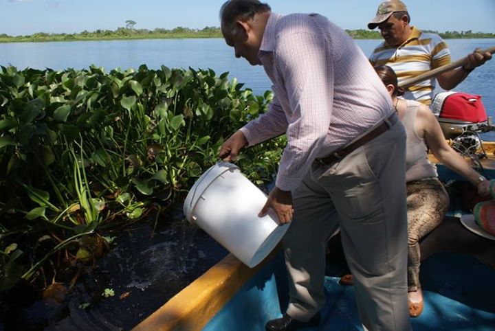 imagen del encabezado