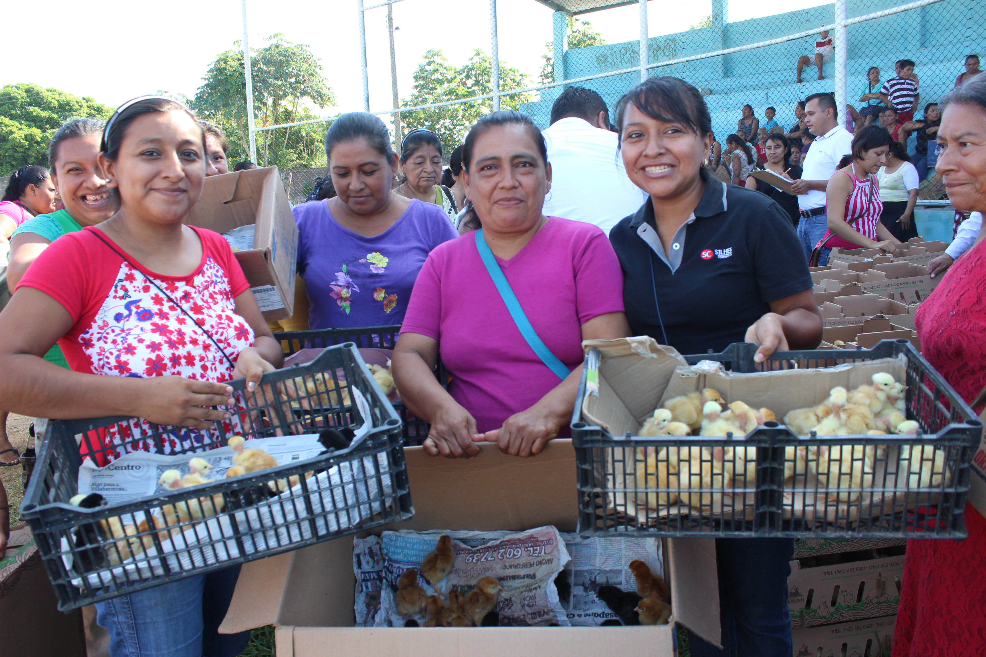 imagen del encabezado