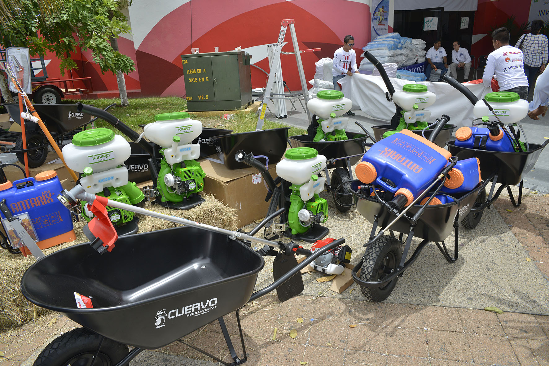 imagen del encabezado