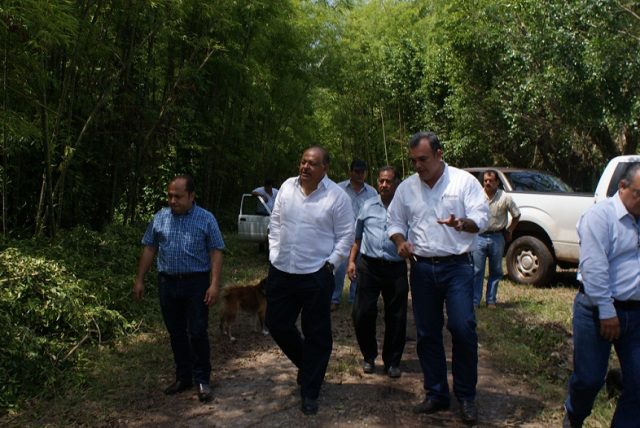 imagen del encabezado