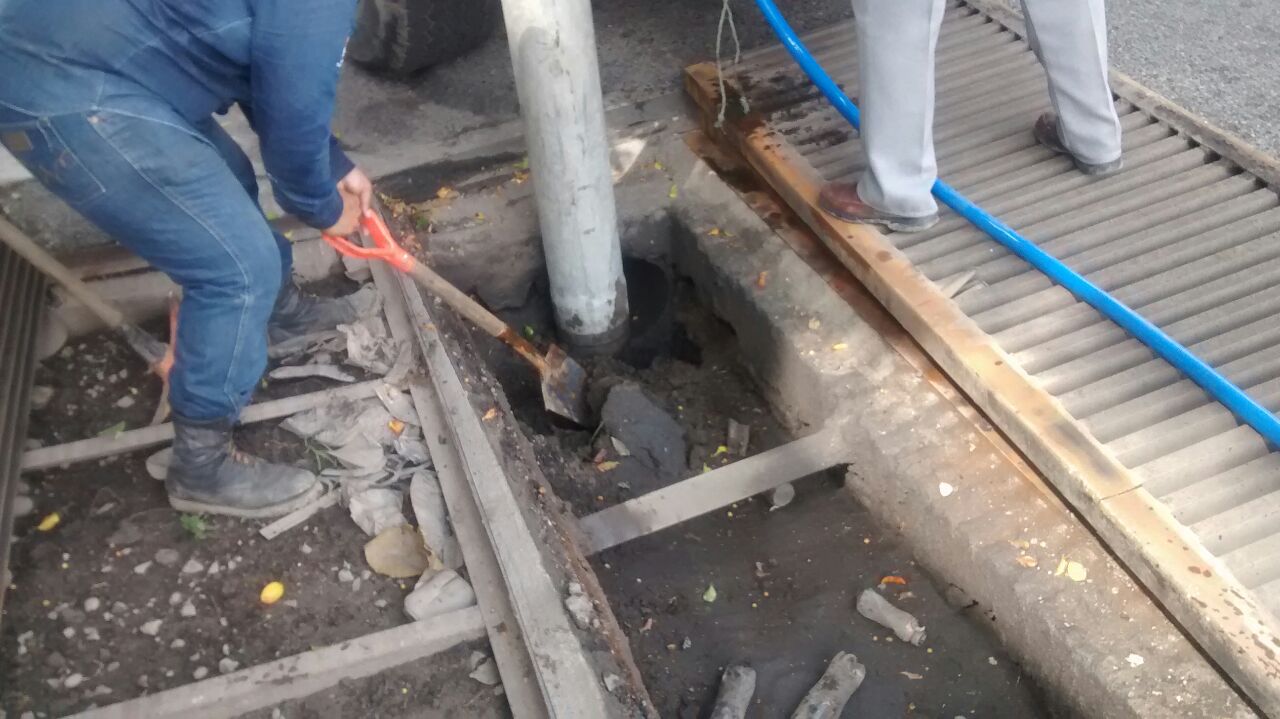 imagen del encabezado