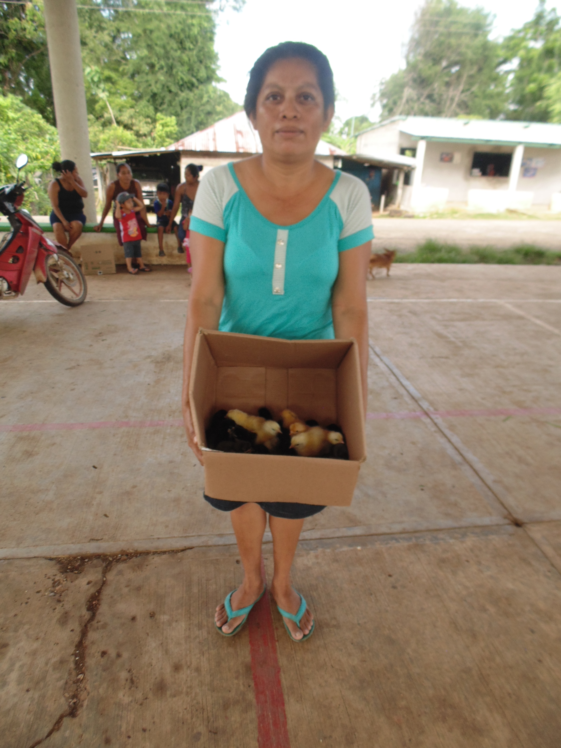 imagen del encabezado