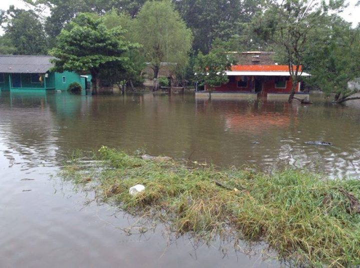 imagen del encabezado