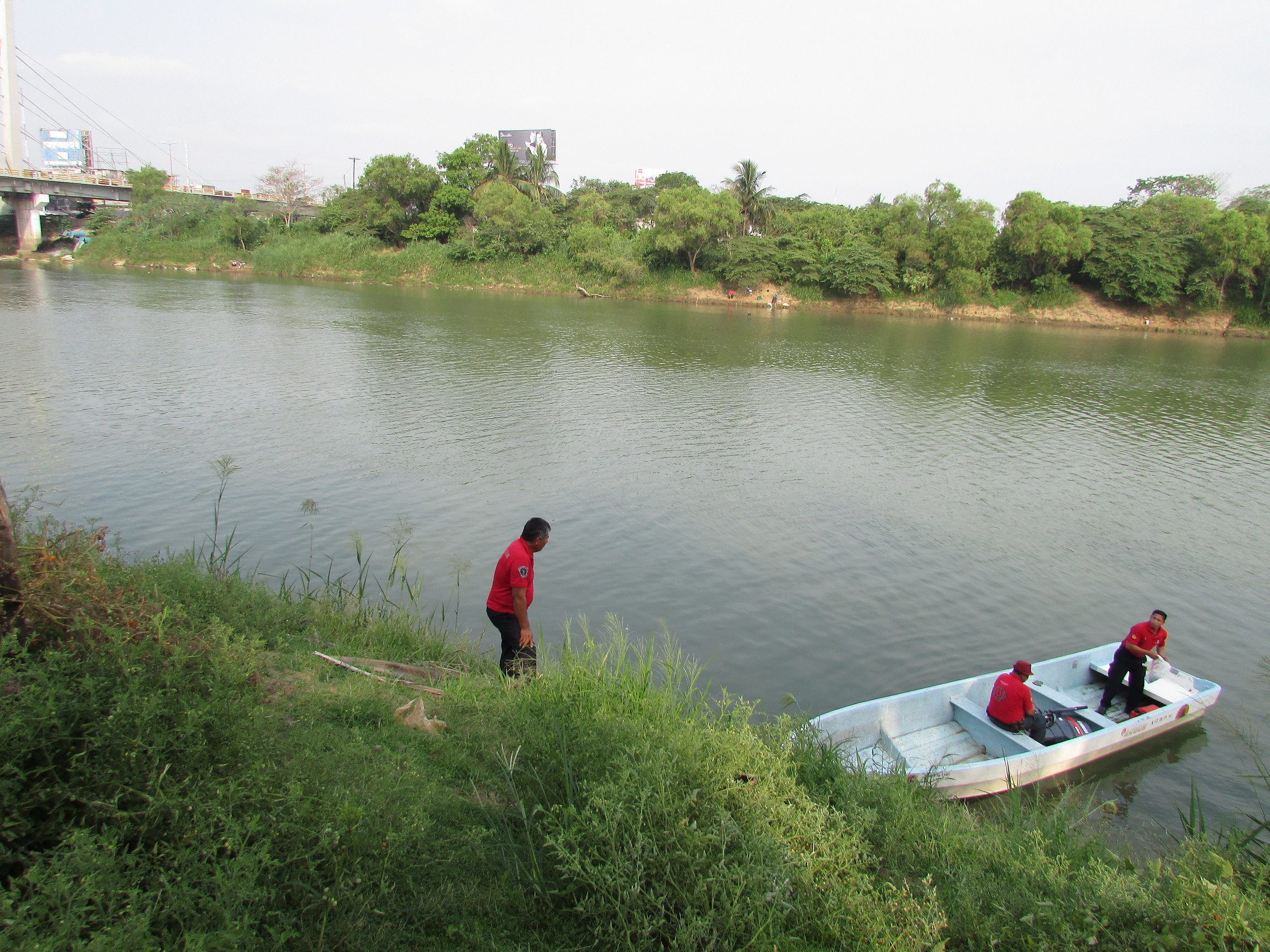 imagen del encabezado