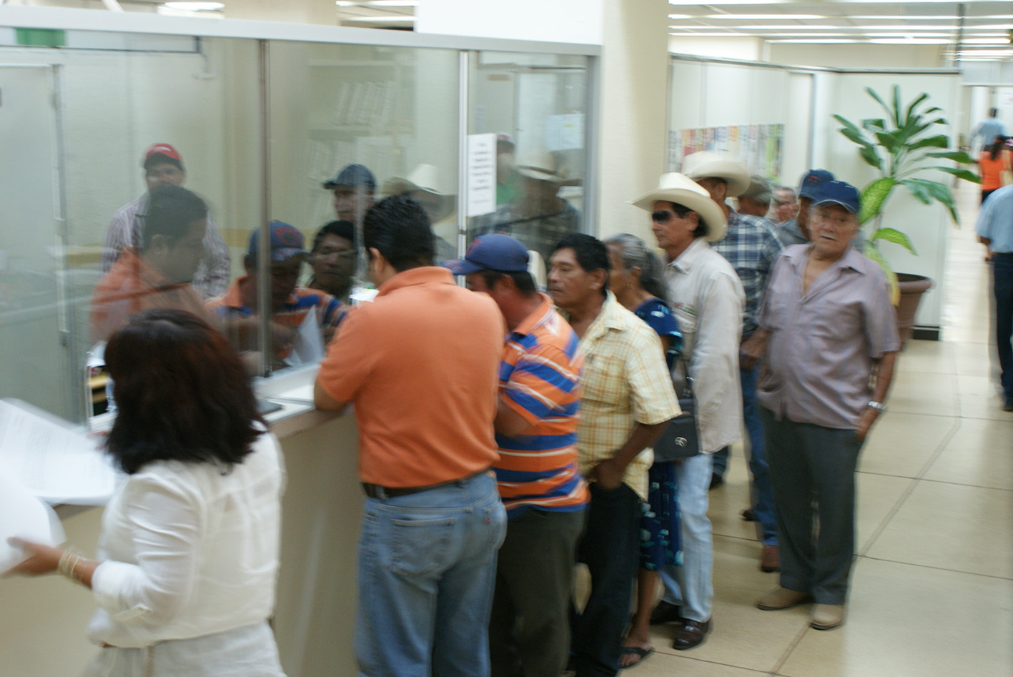 imagen del encabezado