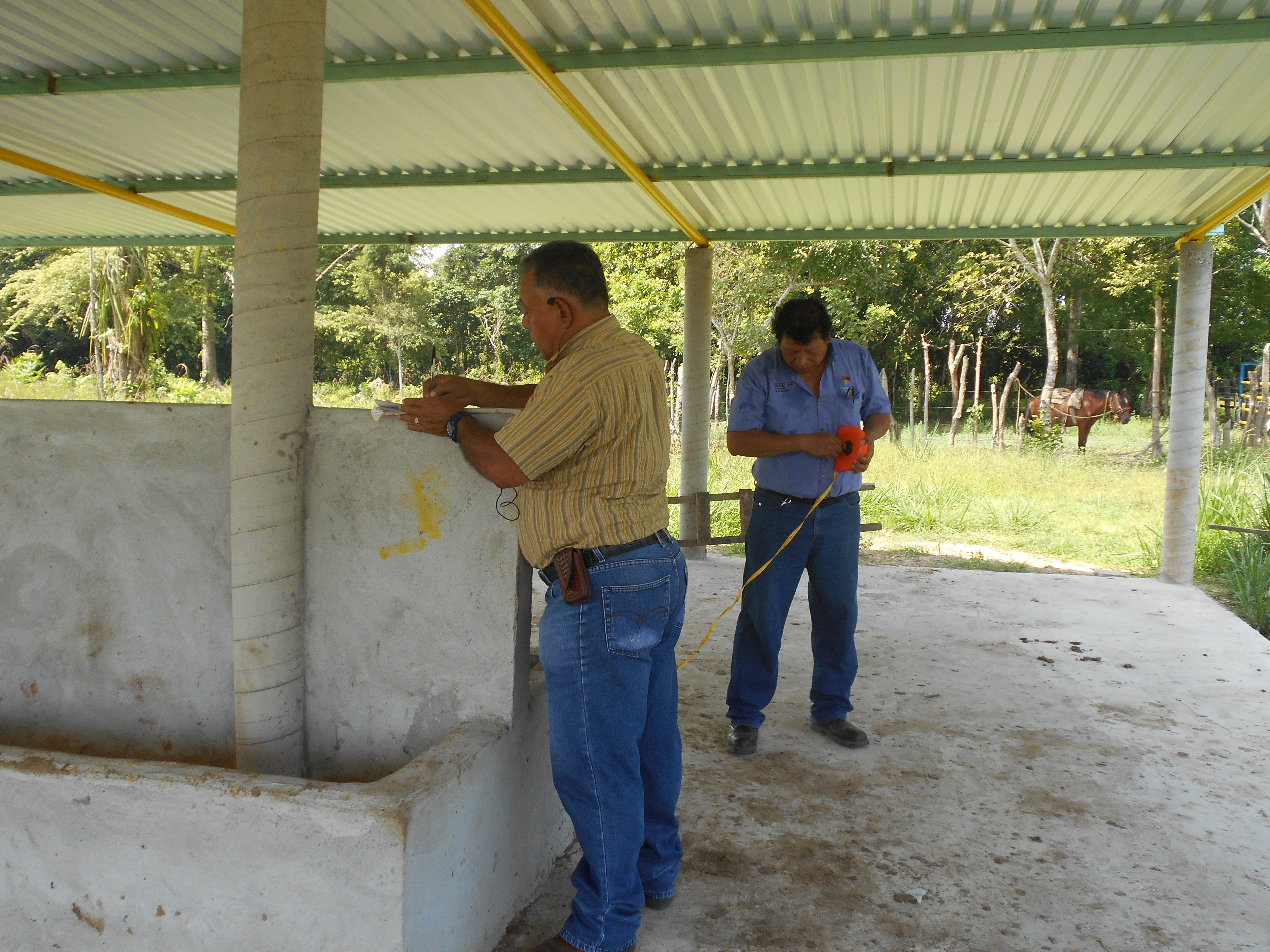 imagen del encabezado