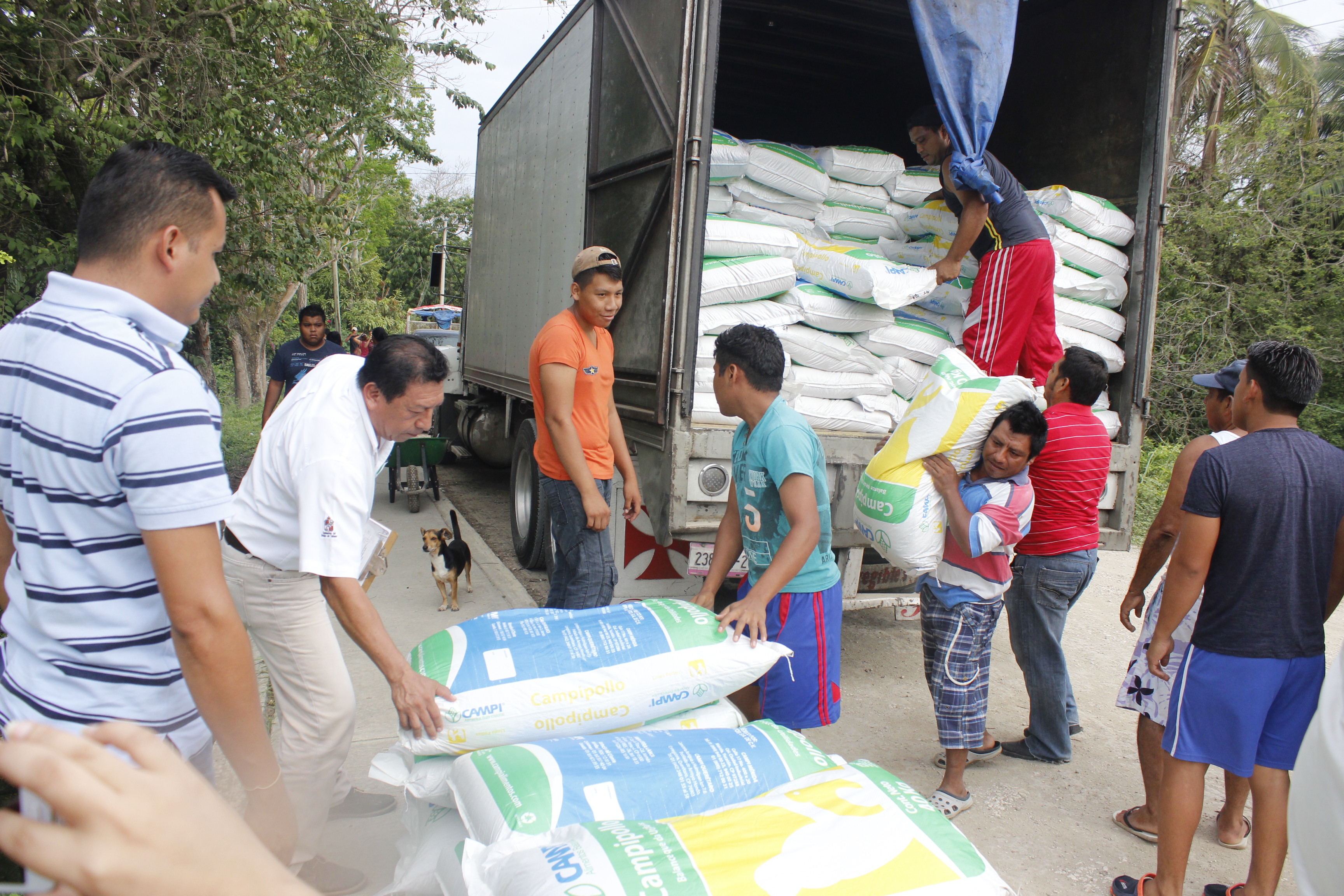 imagen del encabezado