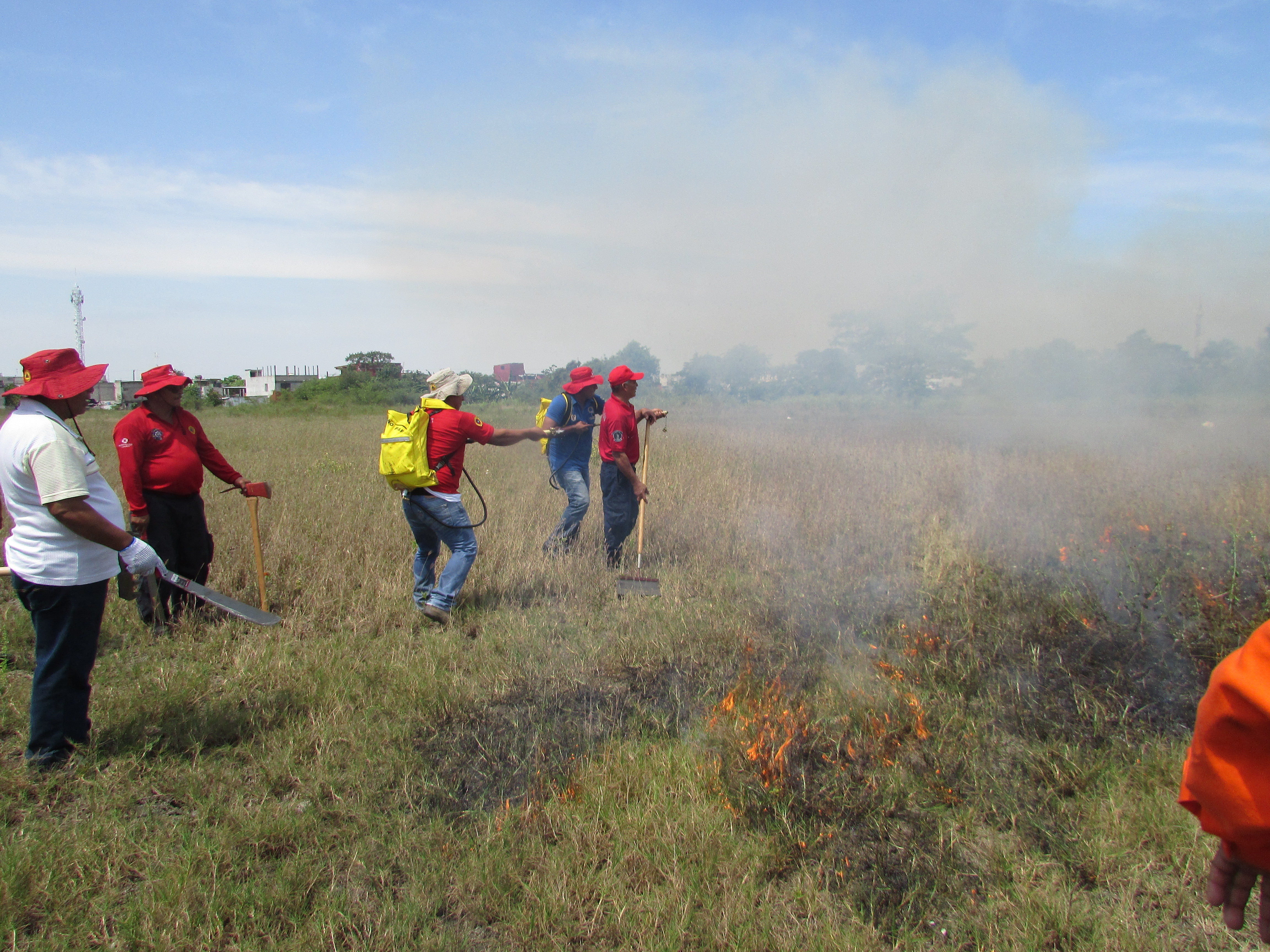 imagen del encabezado