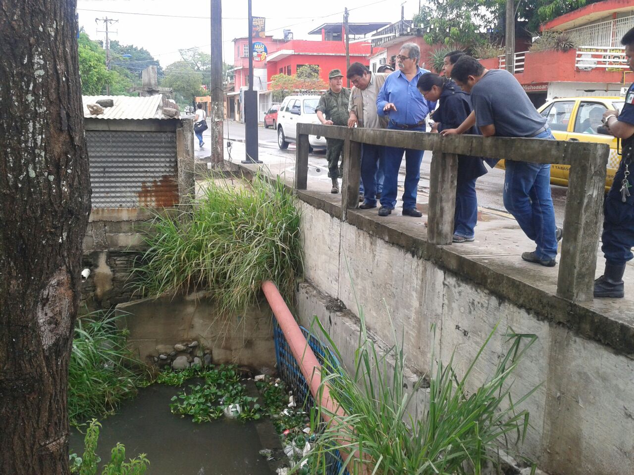 imagen del encabezado