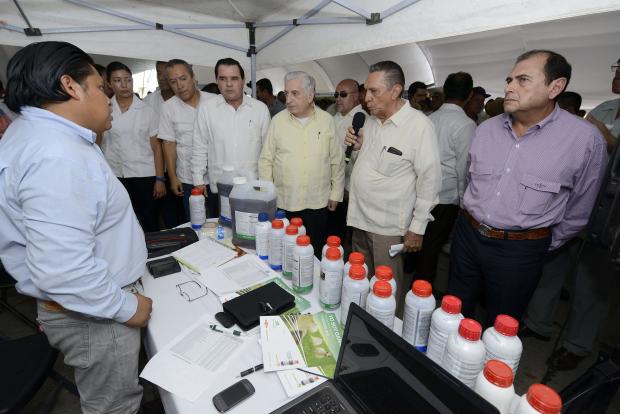 imagen del encabezado