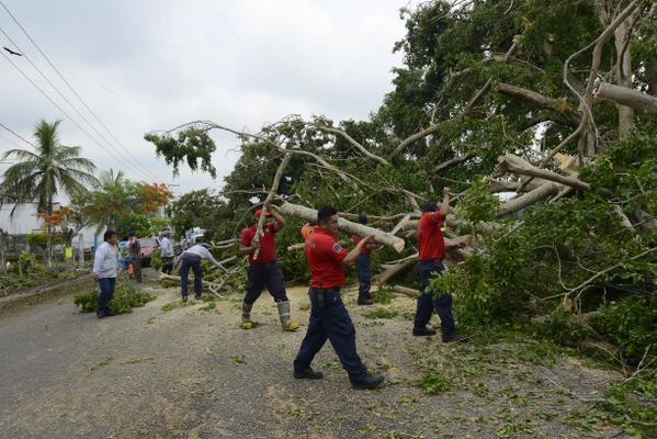 imagen del encabezado