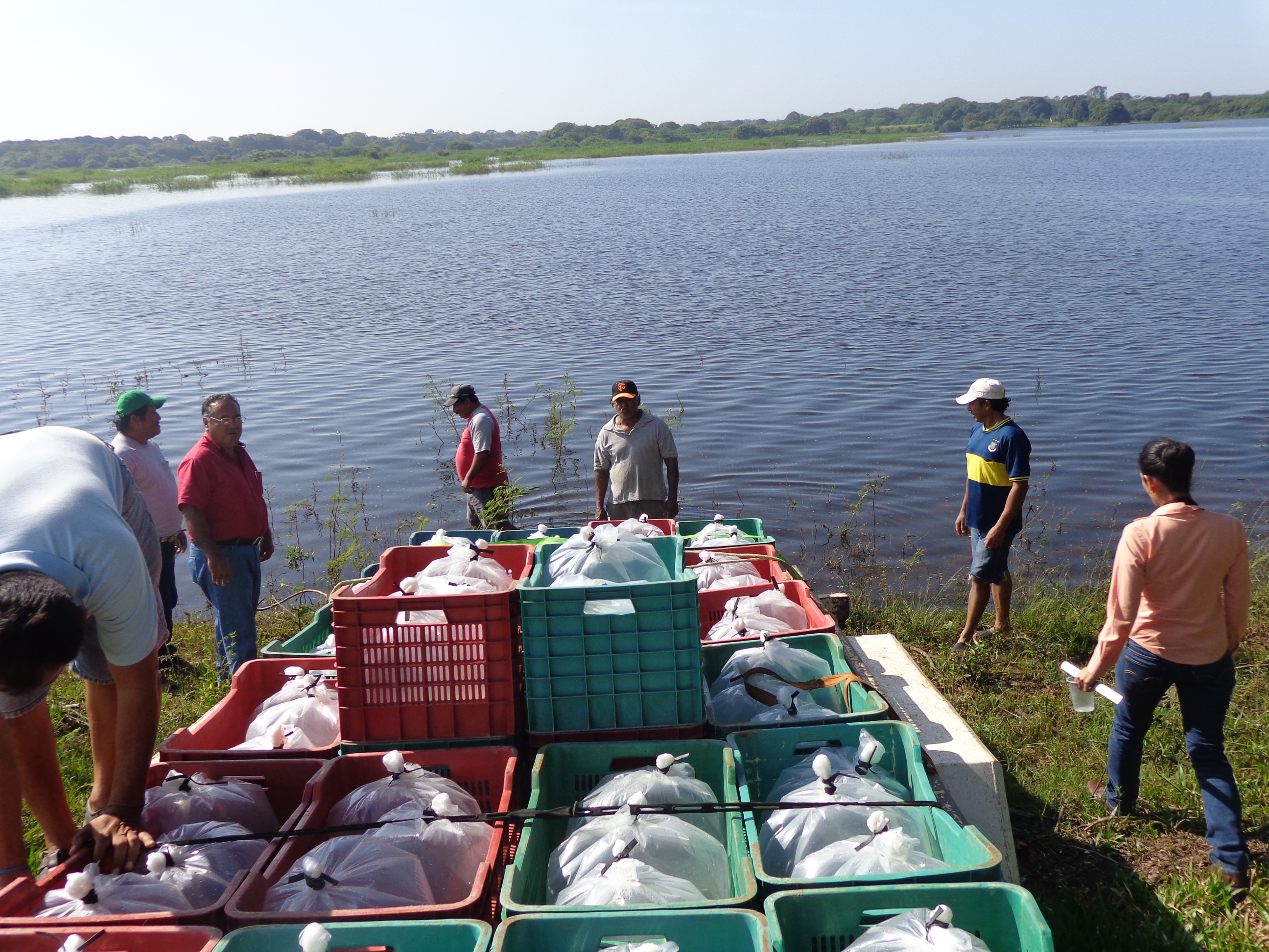 imagen del encabezado