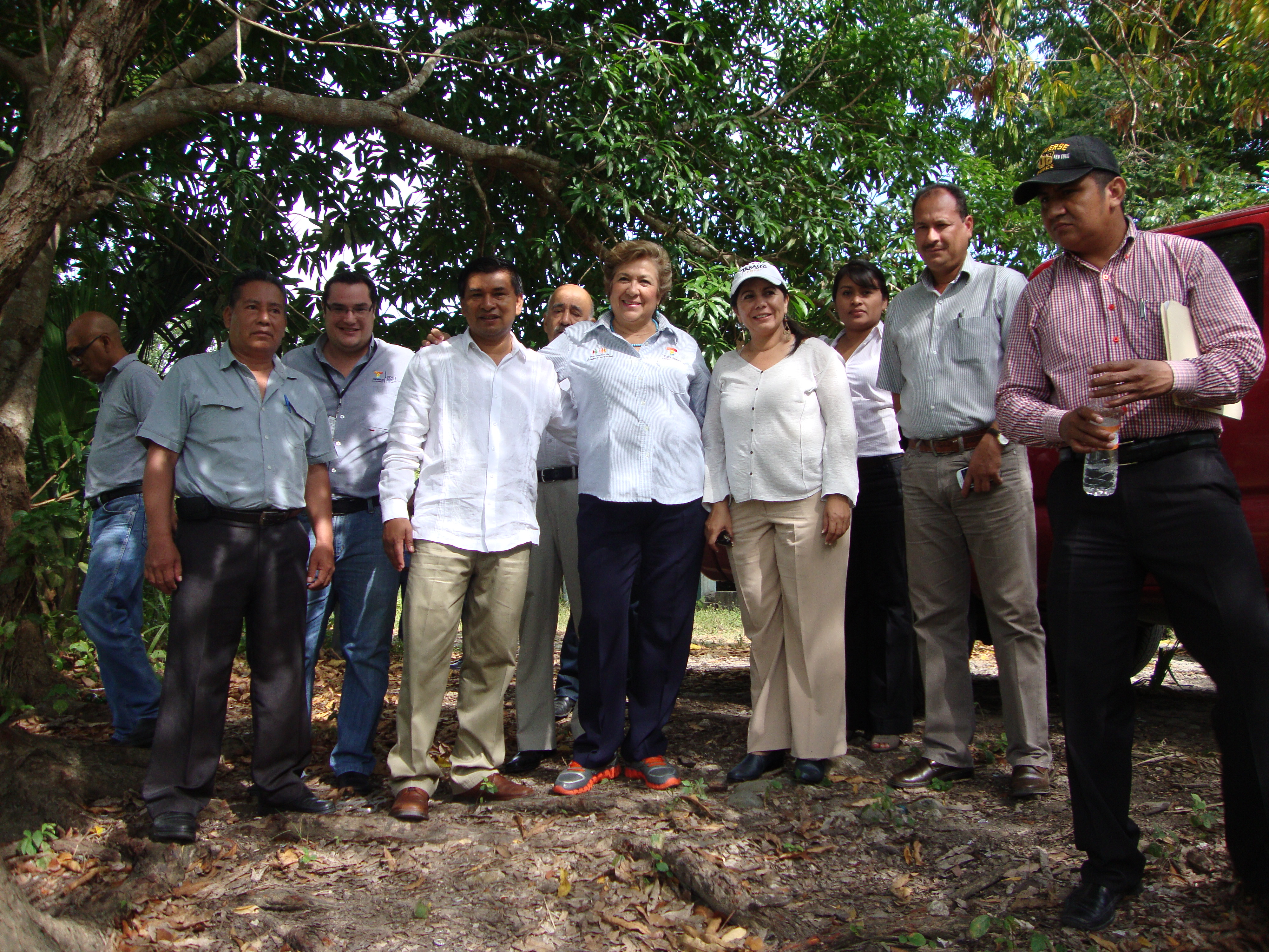 imagen del encabezado