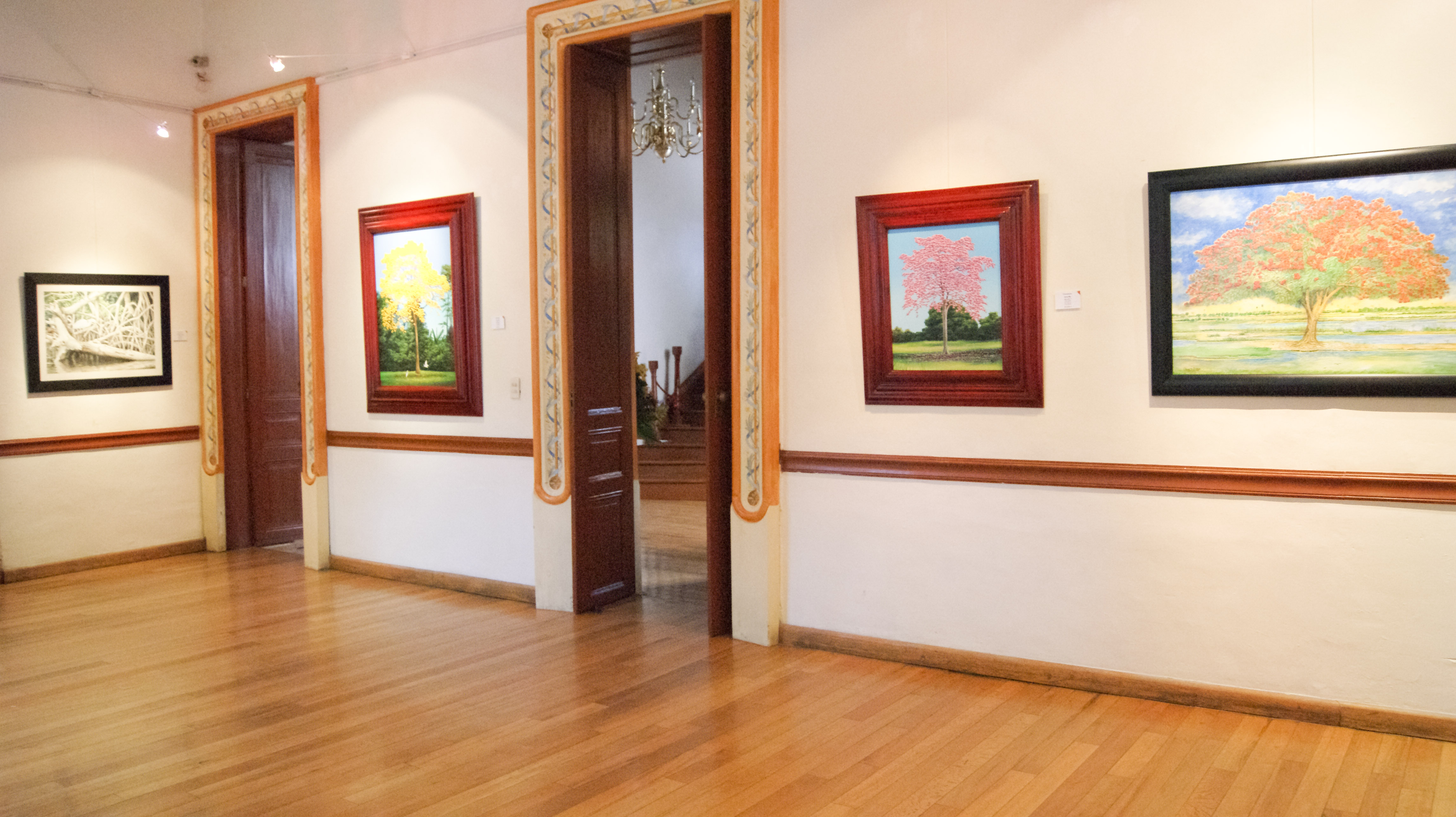 imagen del encabezado