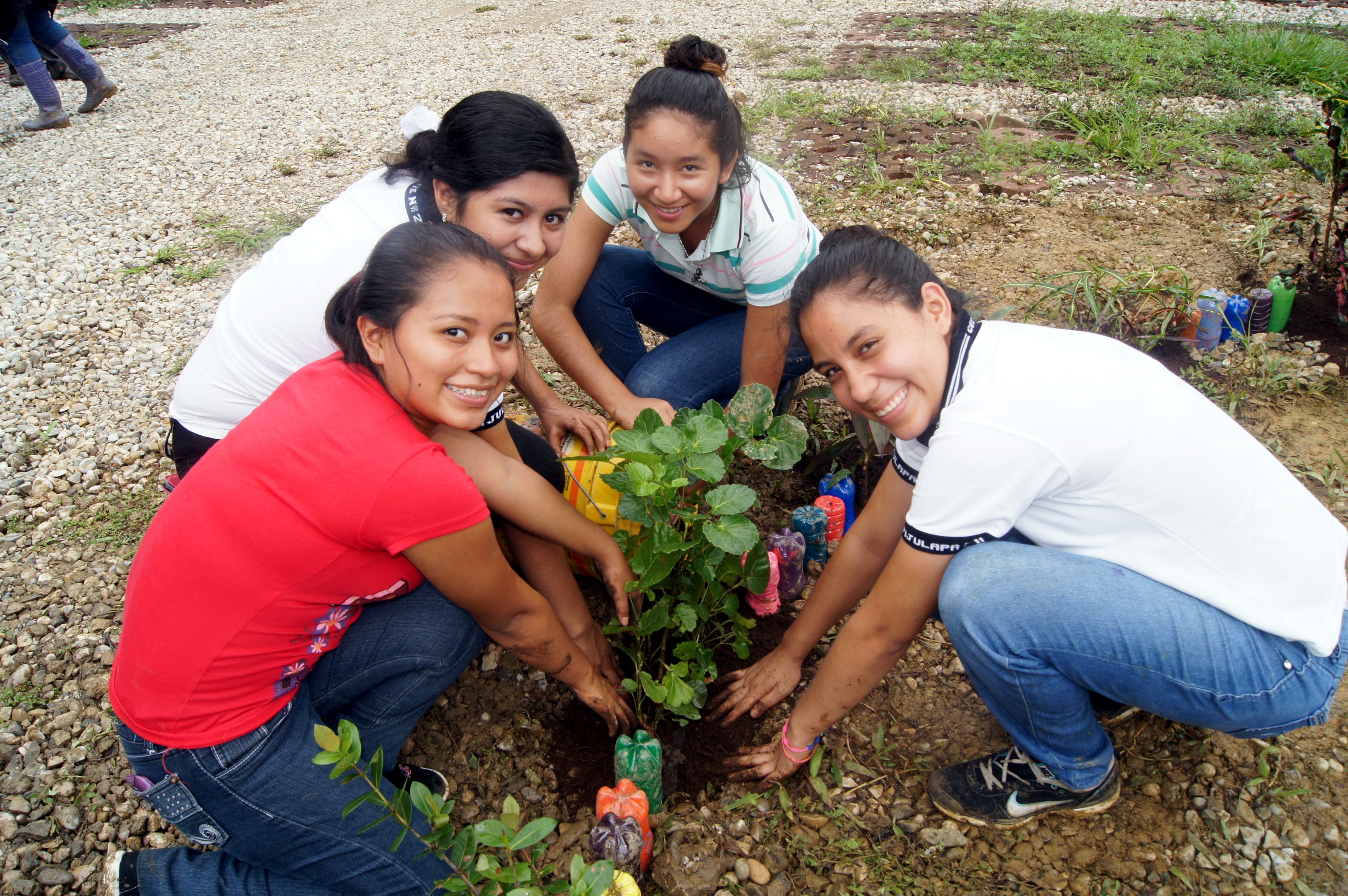 imagen del encabezado