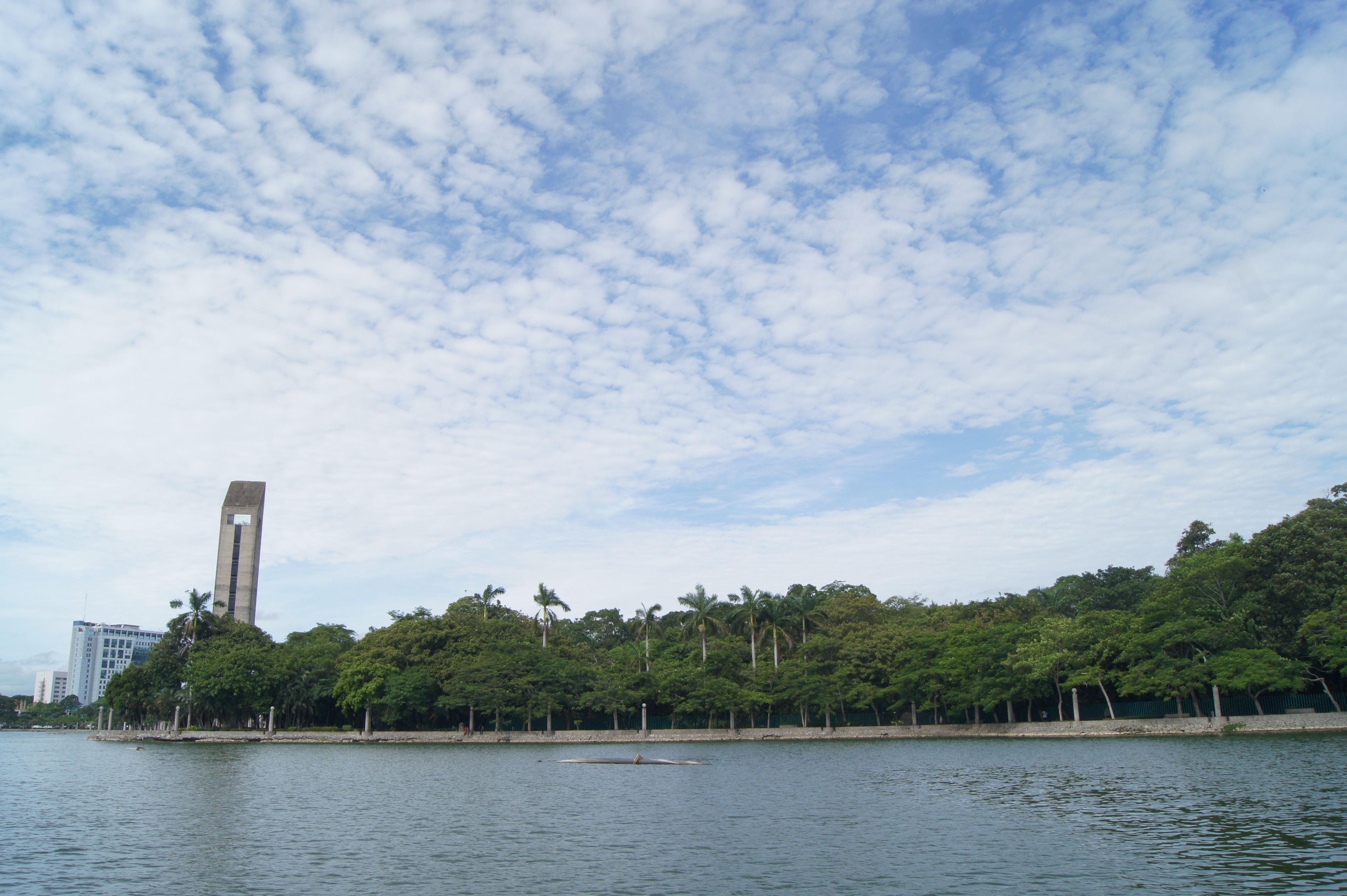 imagen del encabezado