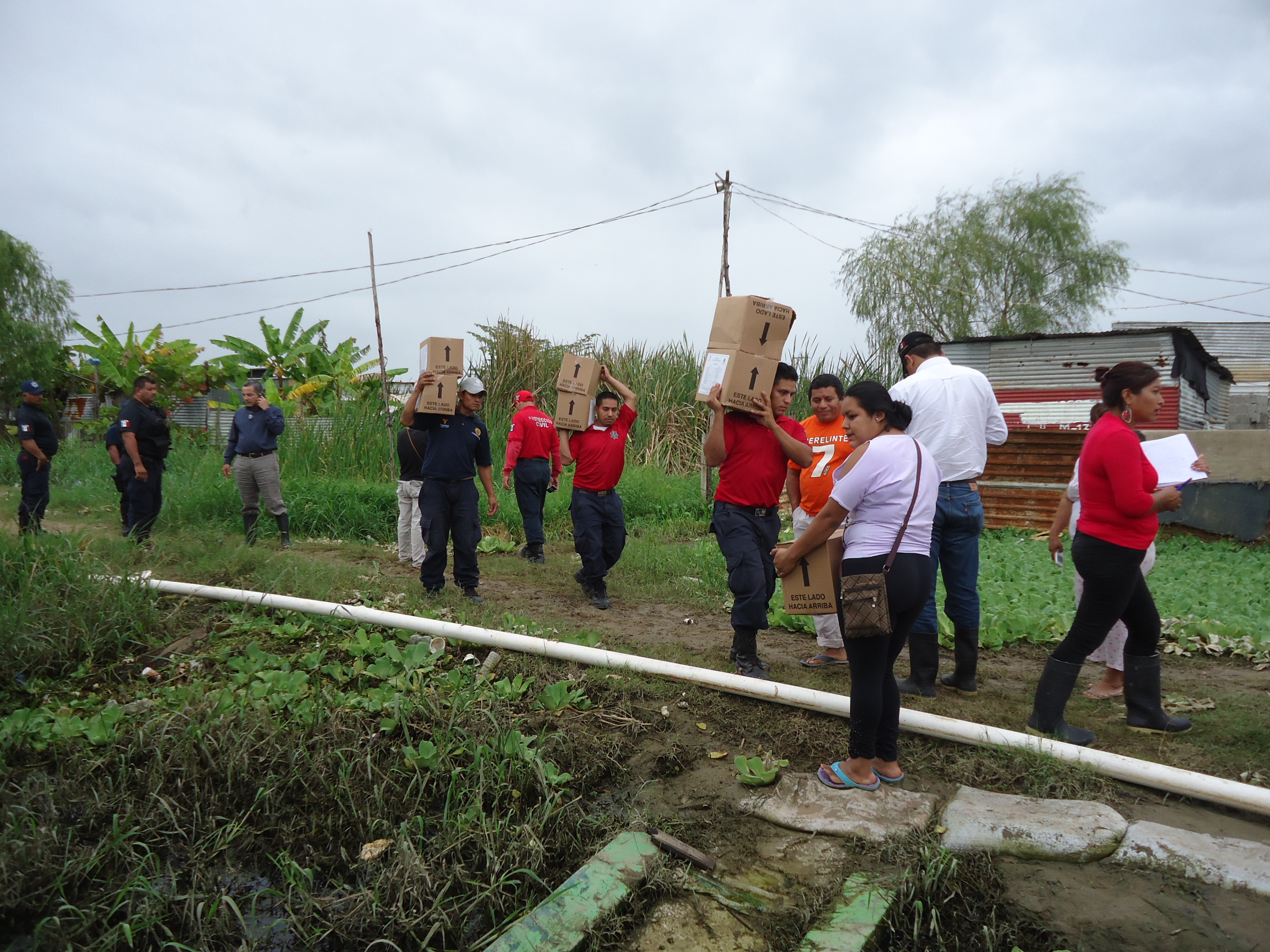 imagen del encabezado
