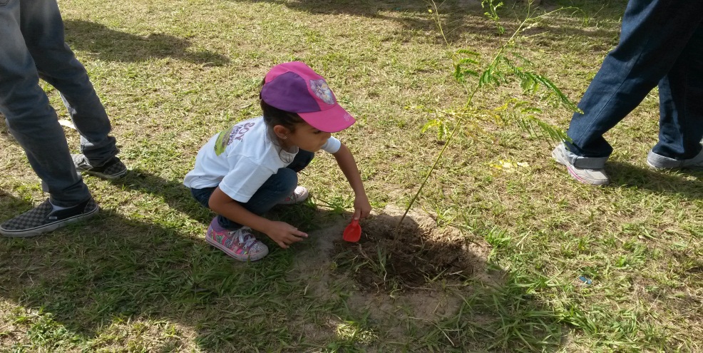 imagen del encabezado