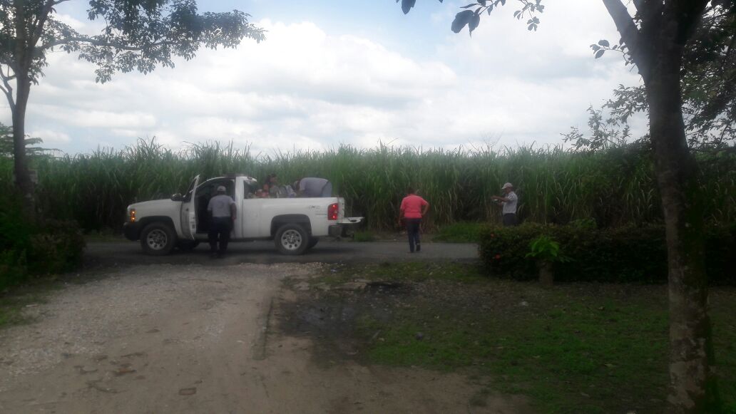 imagen del encabezado