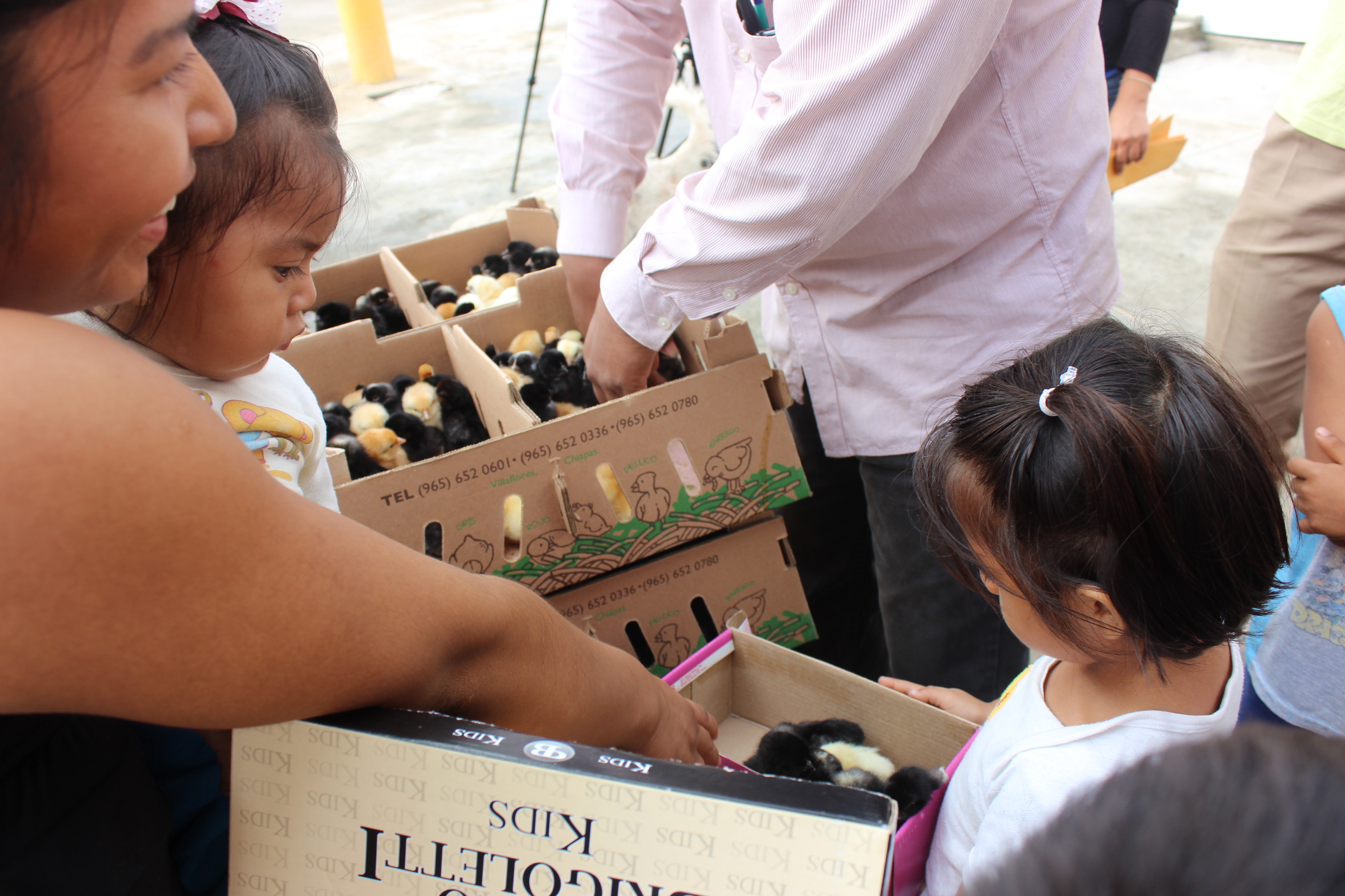 imagen del encabezado