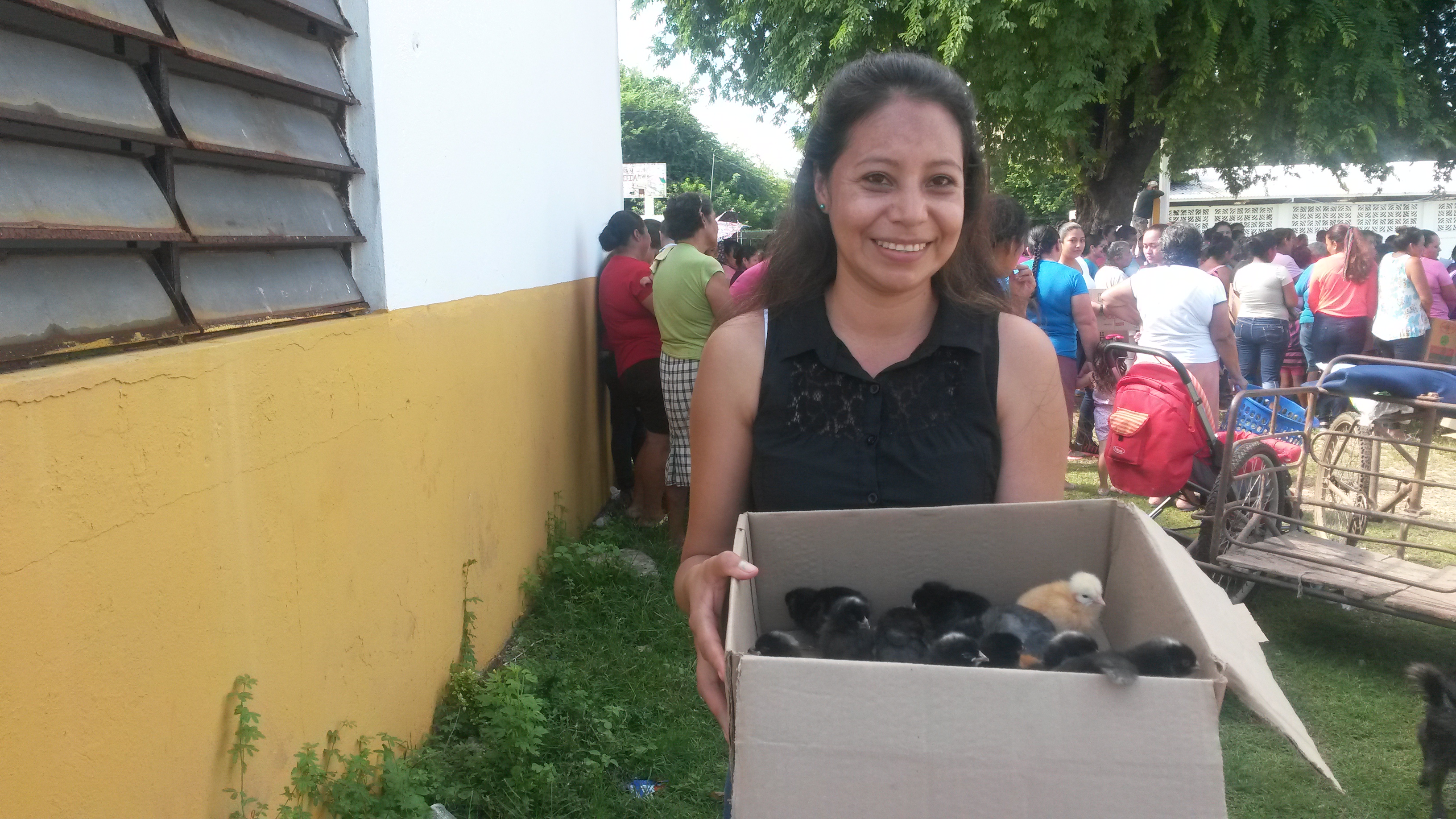 imagen del encabezado