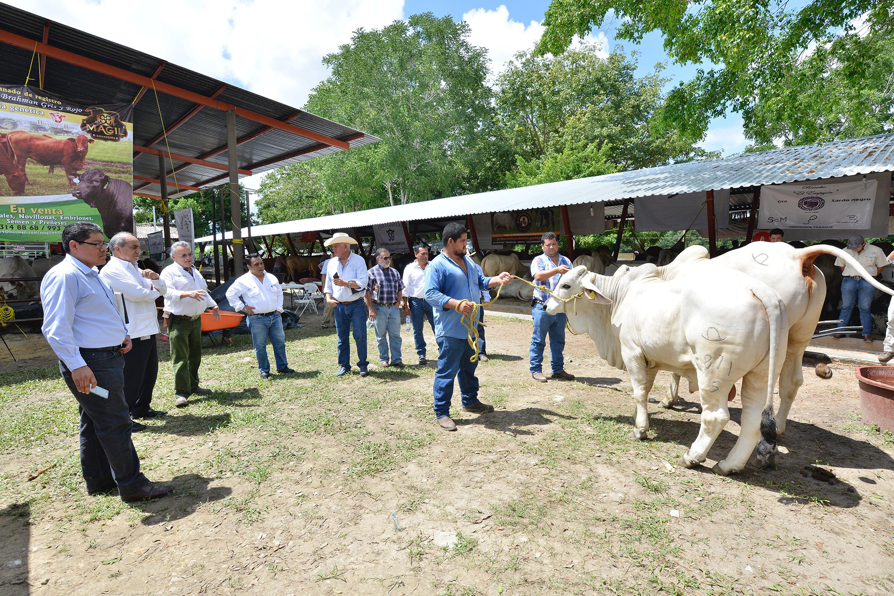 imagen del encabezado