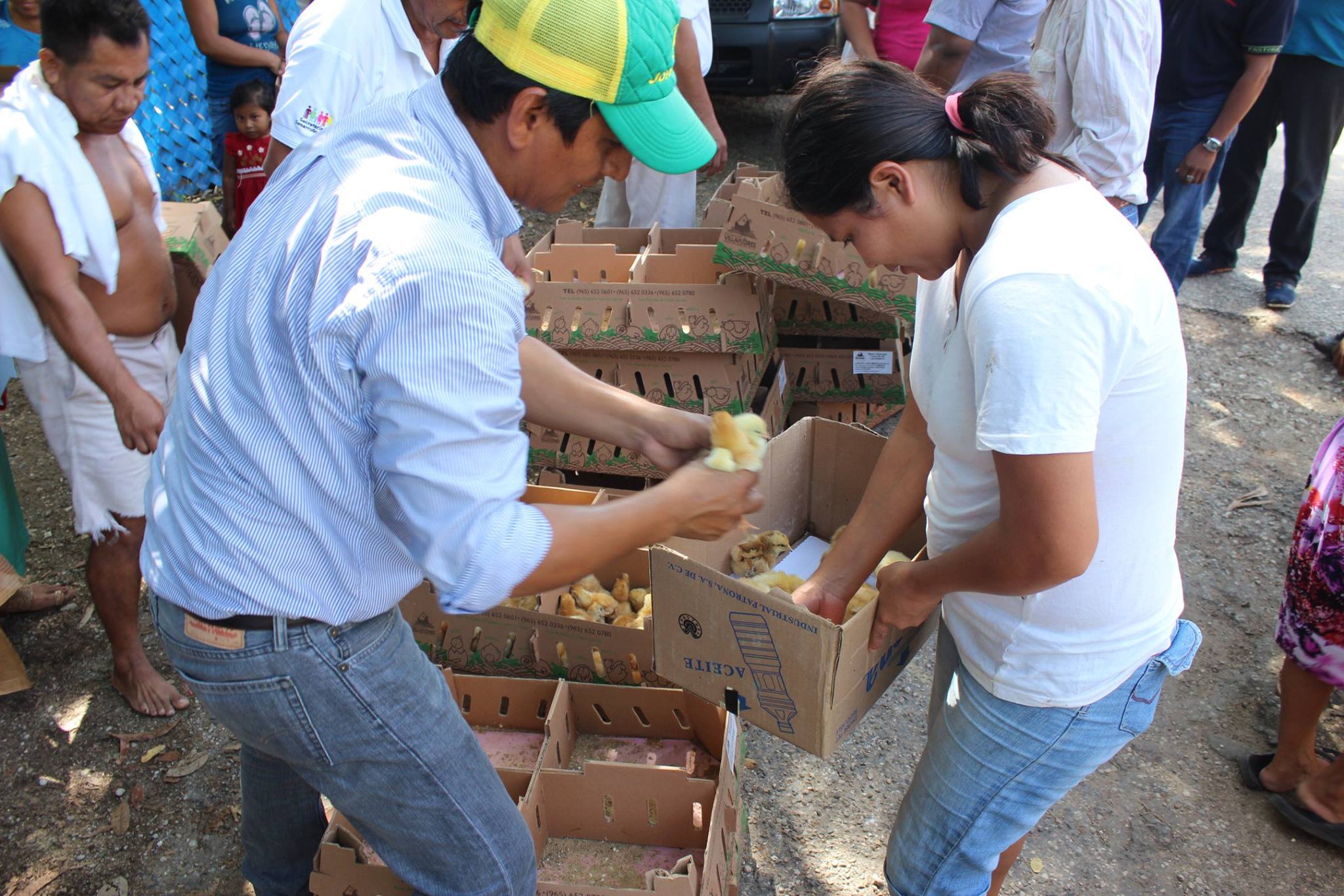 imagen del encabezado