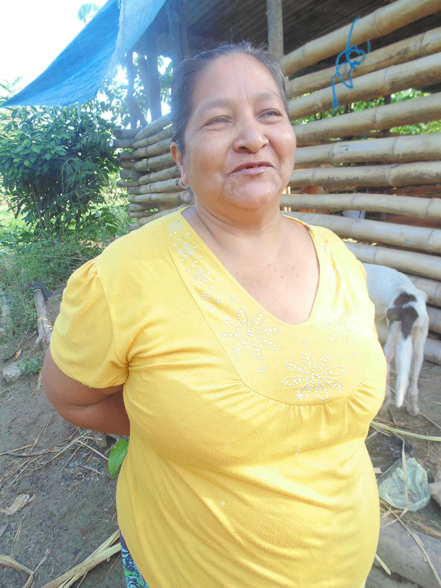 imagen del encabezado