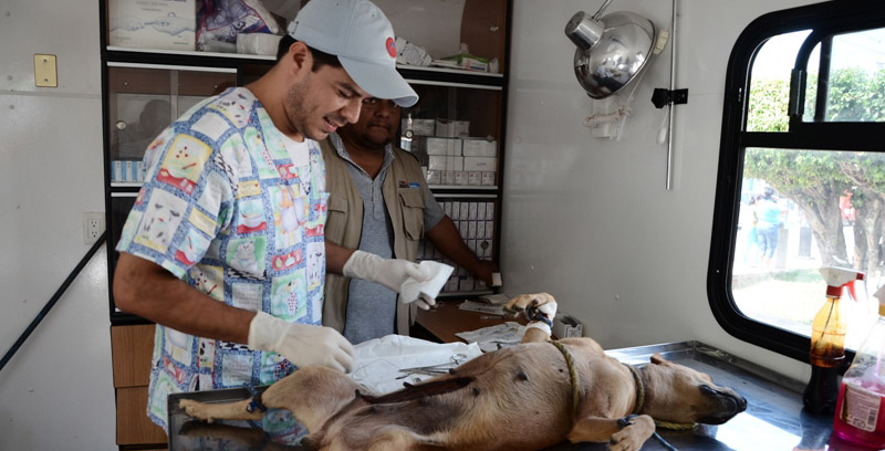 imagen del encabezado