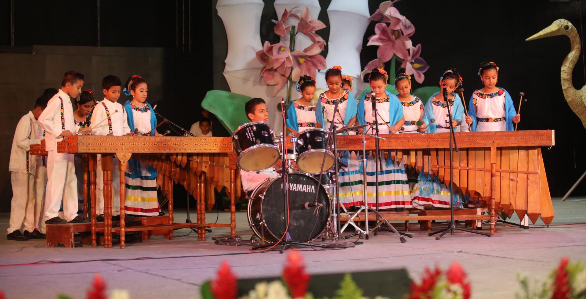 imagen del encabezado