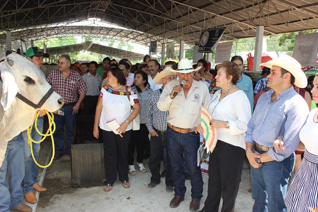 imagen del encabezado