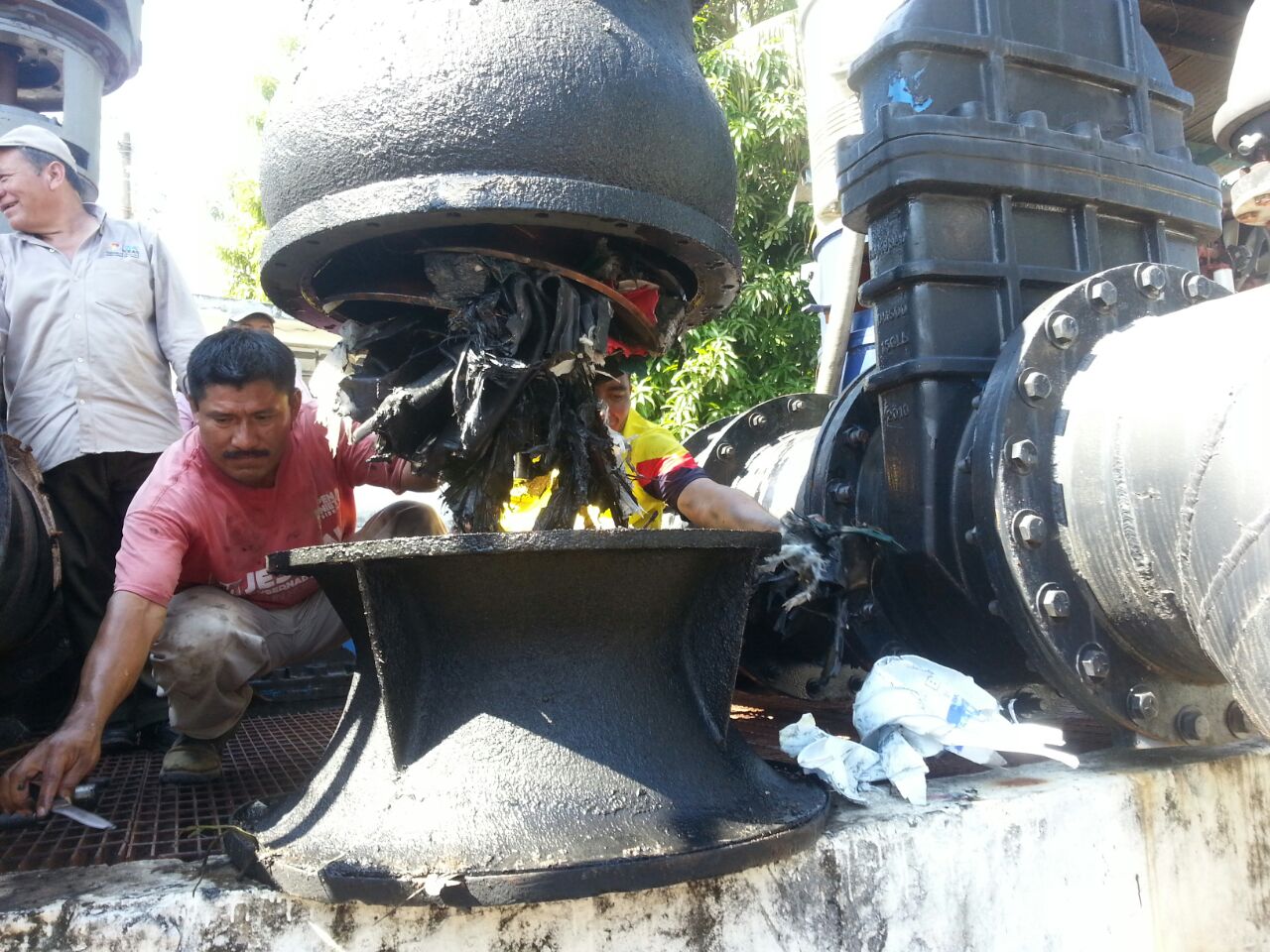 imagen del encabezado