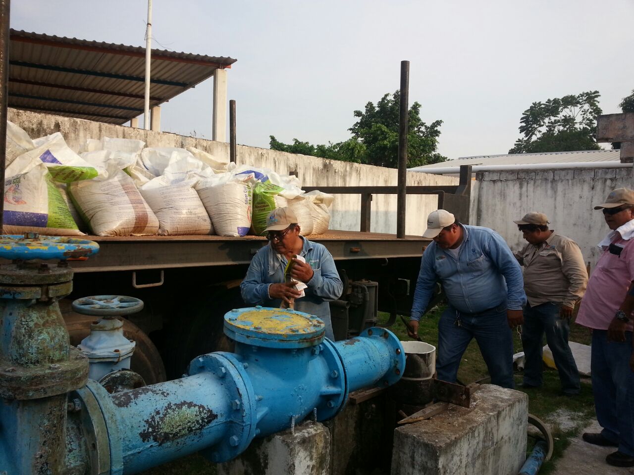 imagen del encabezado