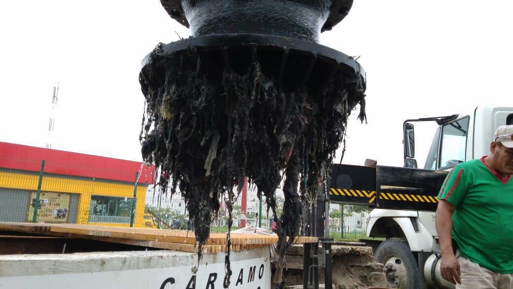 imagen del encabezado