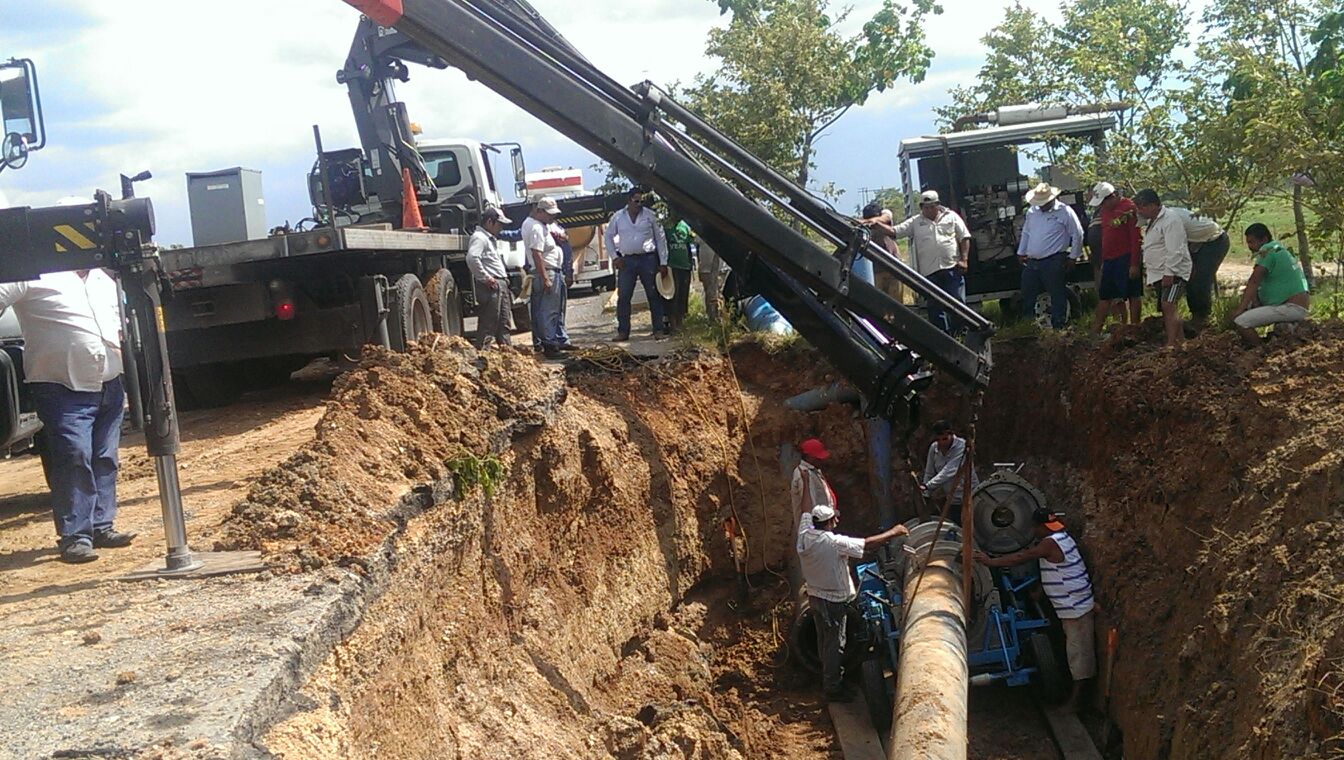 imagen del encabezado