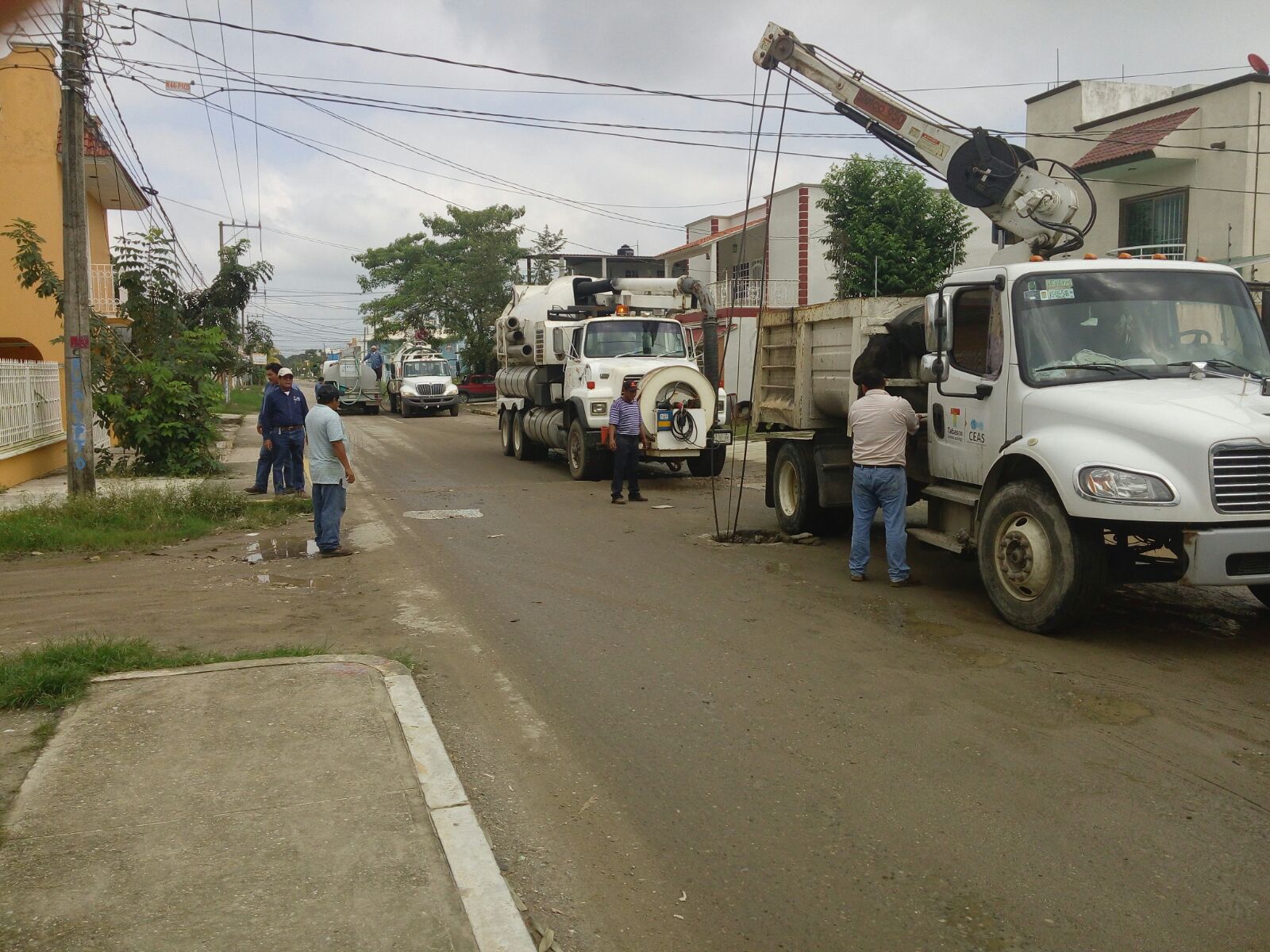 imagen del encabezado