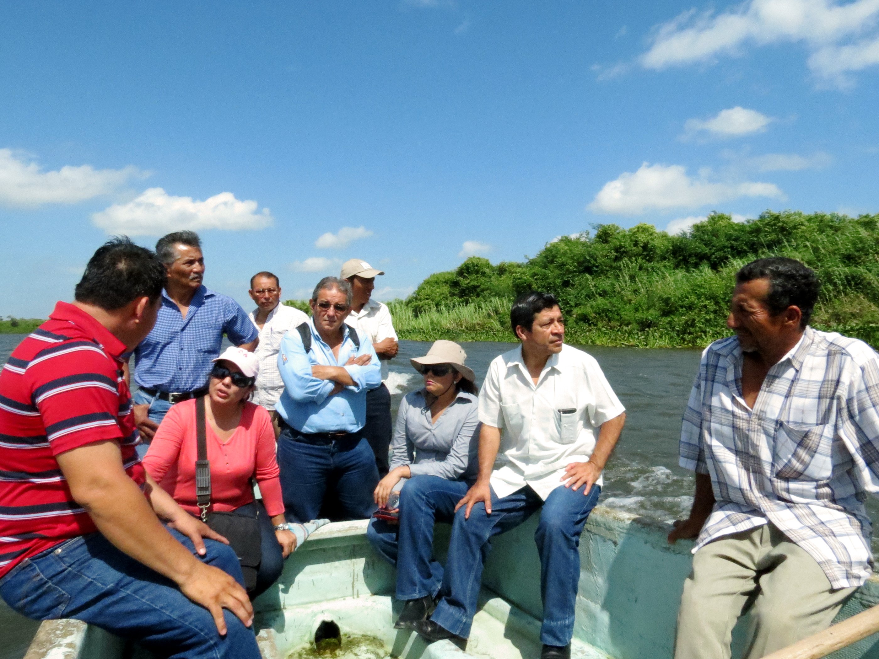 imagen del encabezado