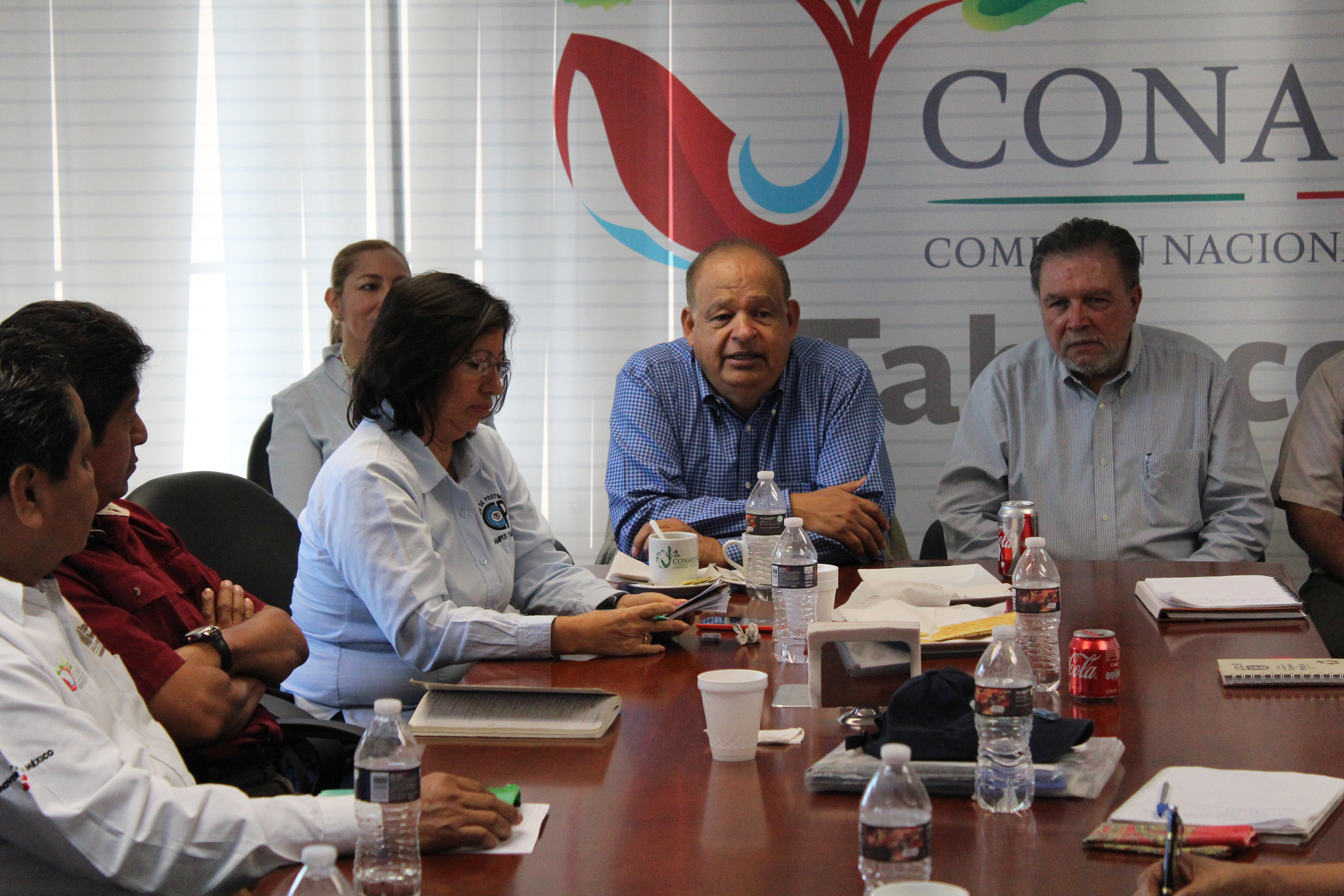 imagen del encabezado