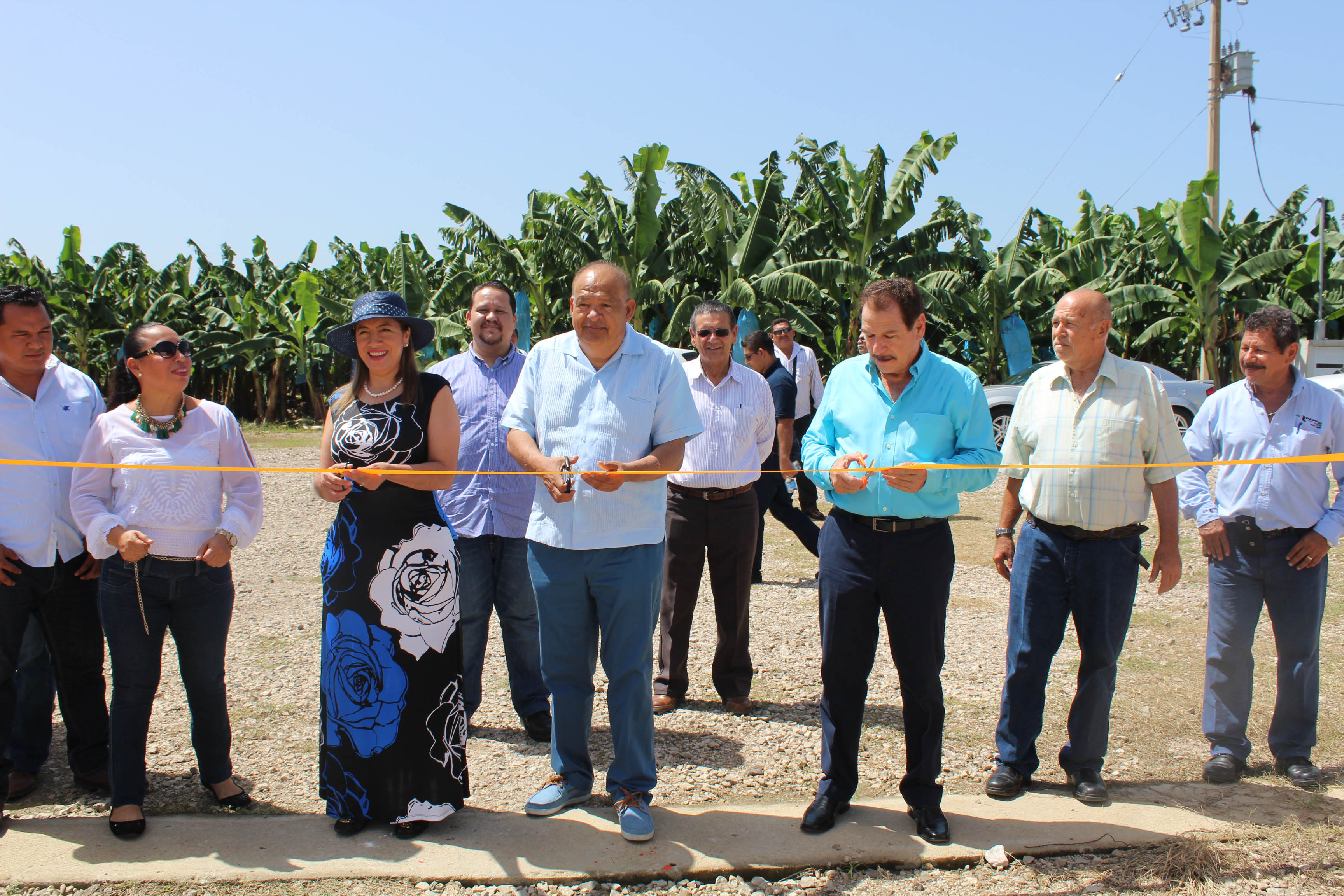 imagen del encabezado